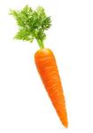 sad_carrot
