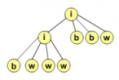 articole/template-structuri-de-date