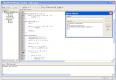 schimbare-borland/ghid/debug