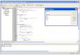 schimbare-borland/ghid/debug