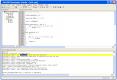 schimbare-borland/ghid/debug