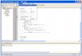 schimbare-borland/ghid/debug