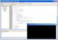 schimbare-borland/ghid/debug