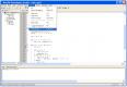schimbare-borland/ghid/debug