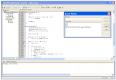 schimbare-borland/ghid/debug