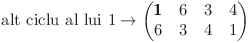 
\text{alt ciclu al lui 1} \rightarrow
\left(\begin{matrix}
    \pmb{1} & 6 & 3  & 4 \
         6  & 3 & 4 & 1
\end{matrix}\right)
