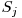  S_{j} 