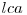  lca 