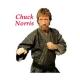 utilizator/chucknorris