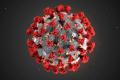 utilizator/coronavirus