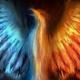 utilizator/cosmin_626