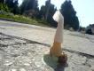utilizator/doru.nitu