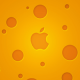 utilizator/jocelyn_cook_86