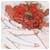 utilizator/kareemscoup