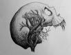 utilizator/sapientia