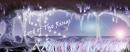utilizator/selony