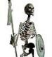 utilizator/skelet