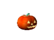 utilizator/test.php