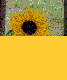 utilizator/viki.php