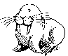 utilizator/walrus237